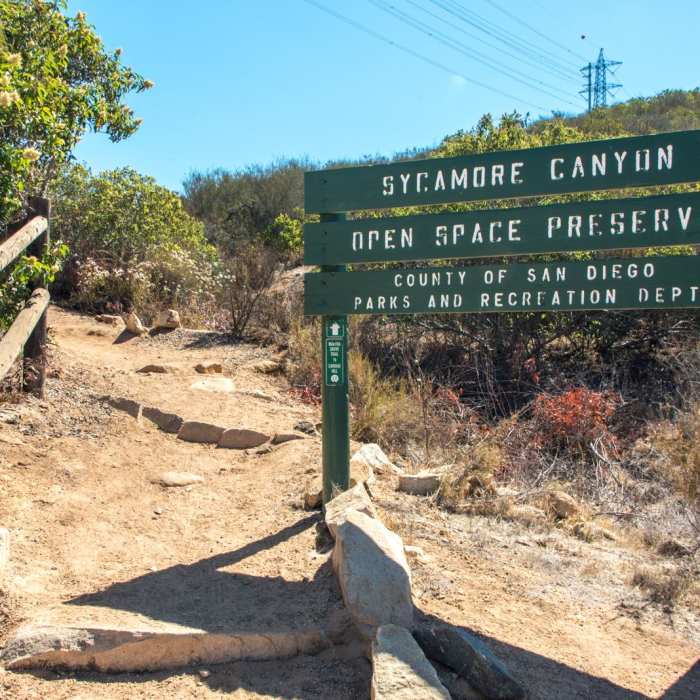 Near Martha's Grove Trail Loop
