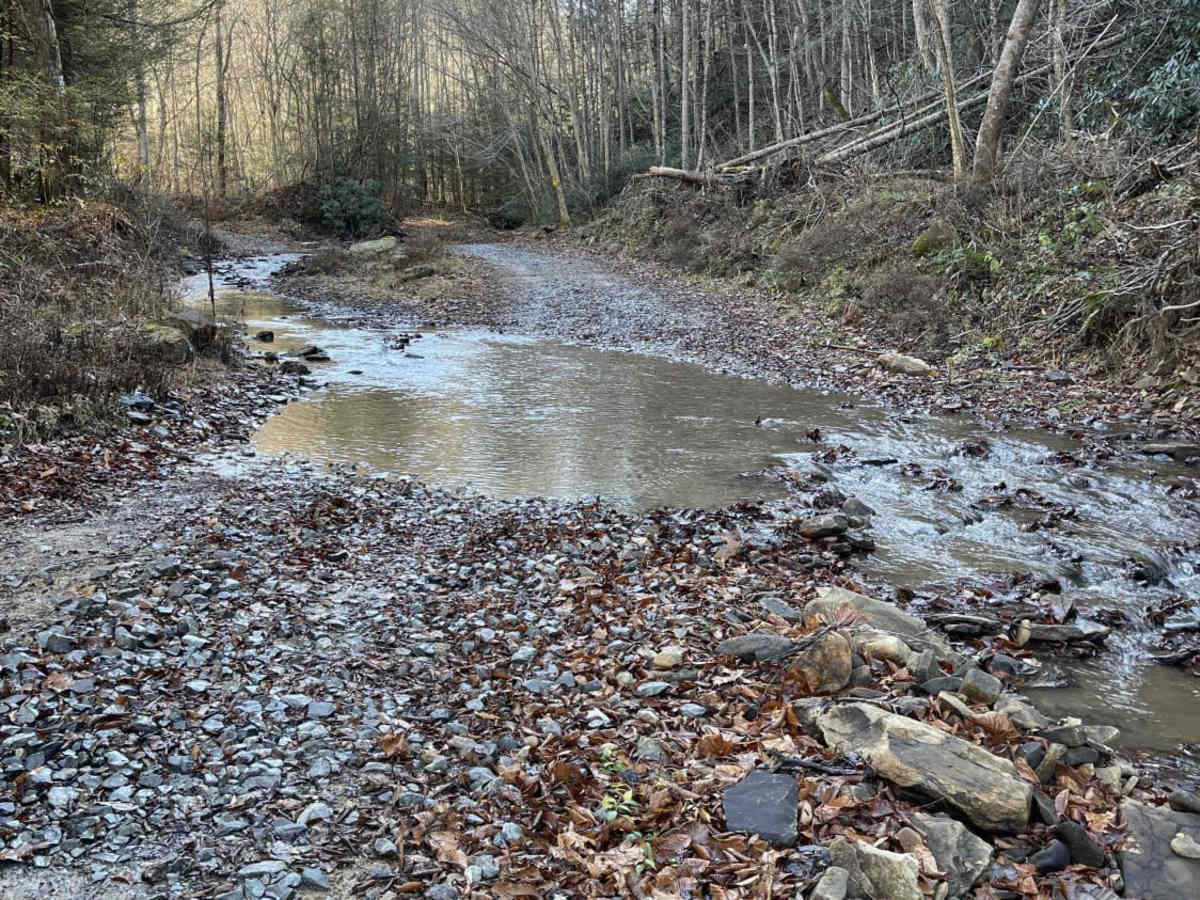 Beech Fork photo 6