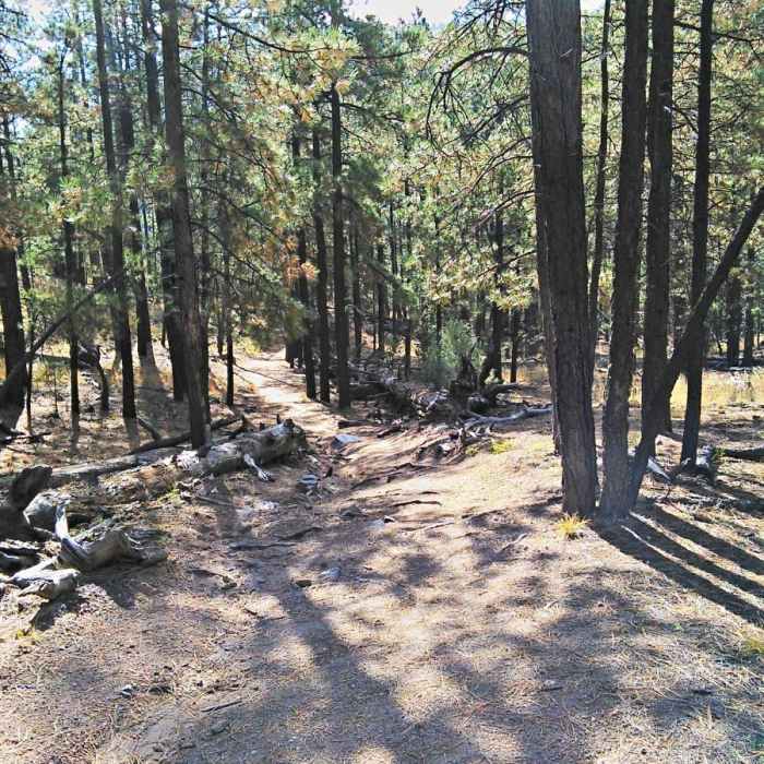 Near McCauley Hot Springs Out and Back