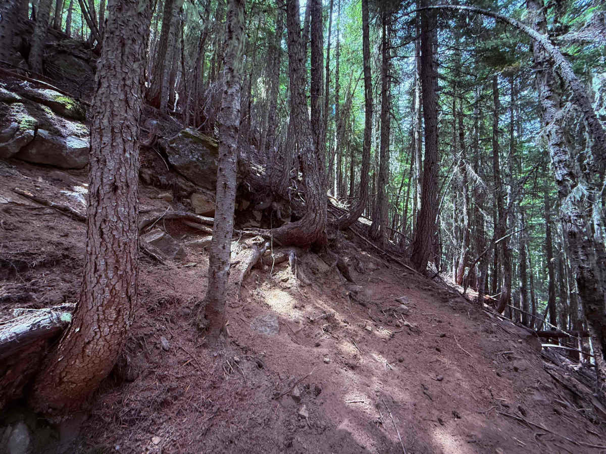 Middle Fork - 945  photo 2