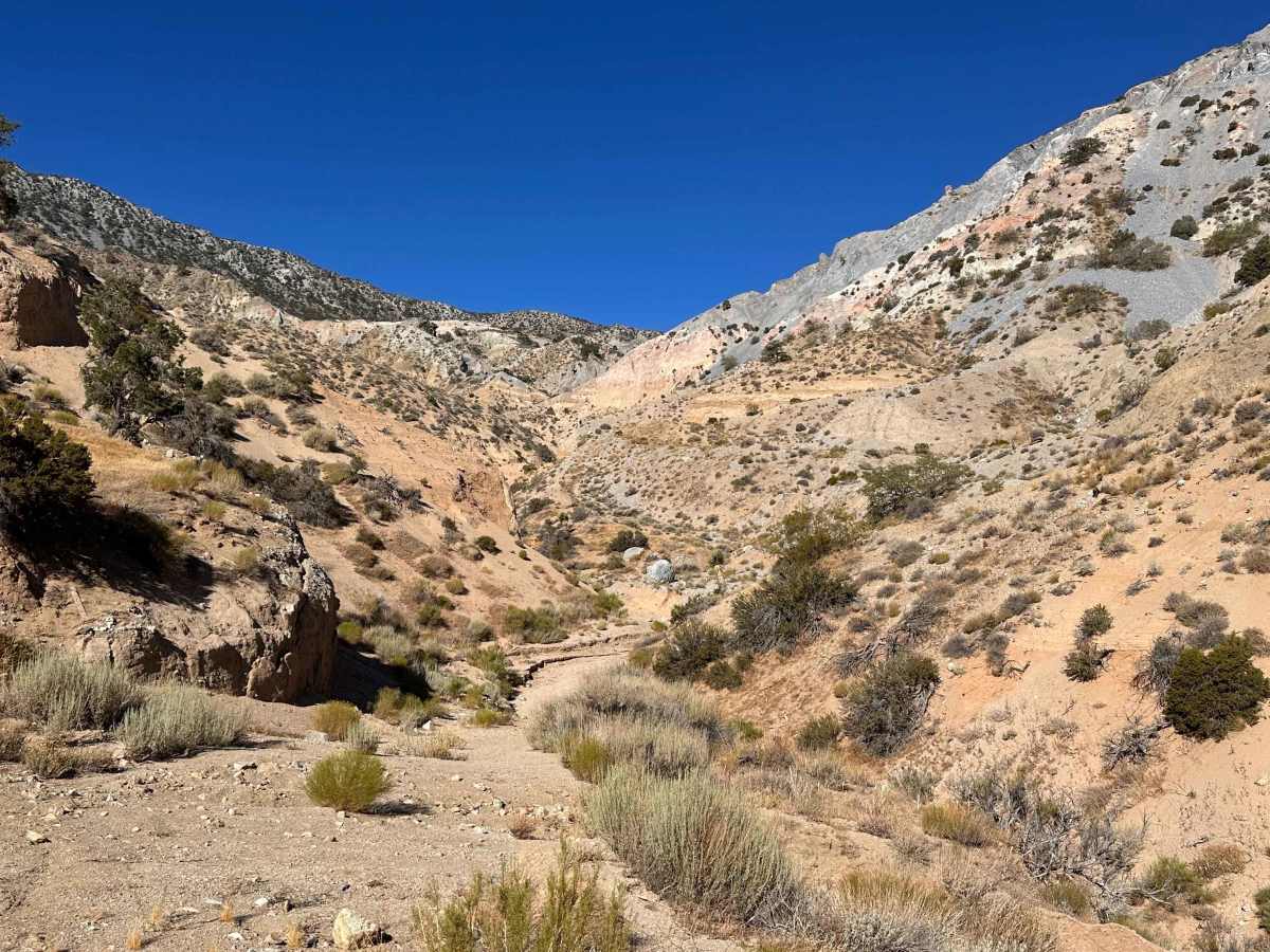 Cholla Pass photo 4