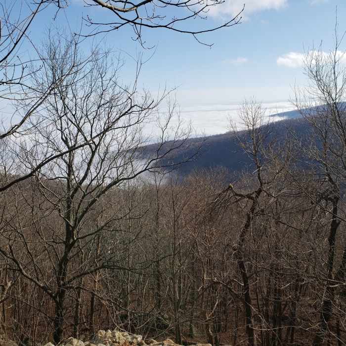 Near Compton Peak from Jenkins Gap
