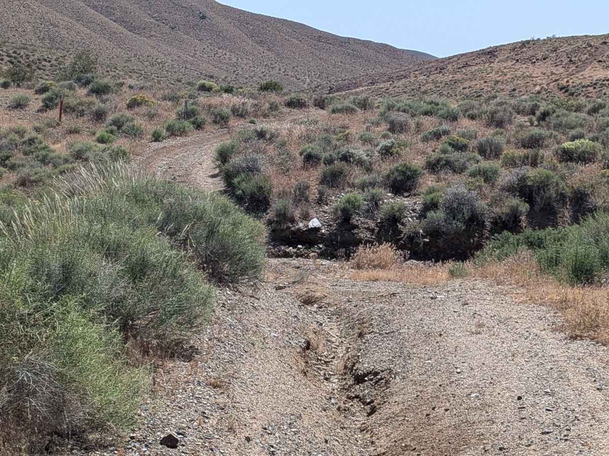 BLM EP132 photo 4