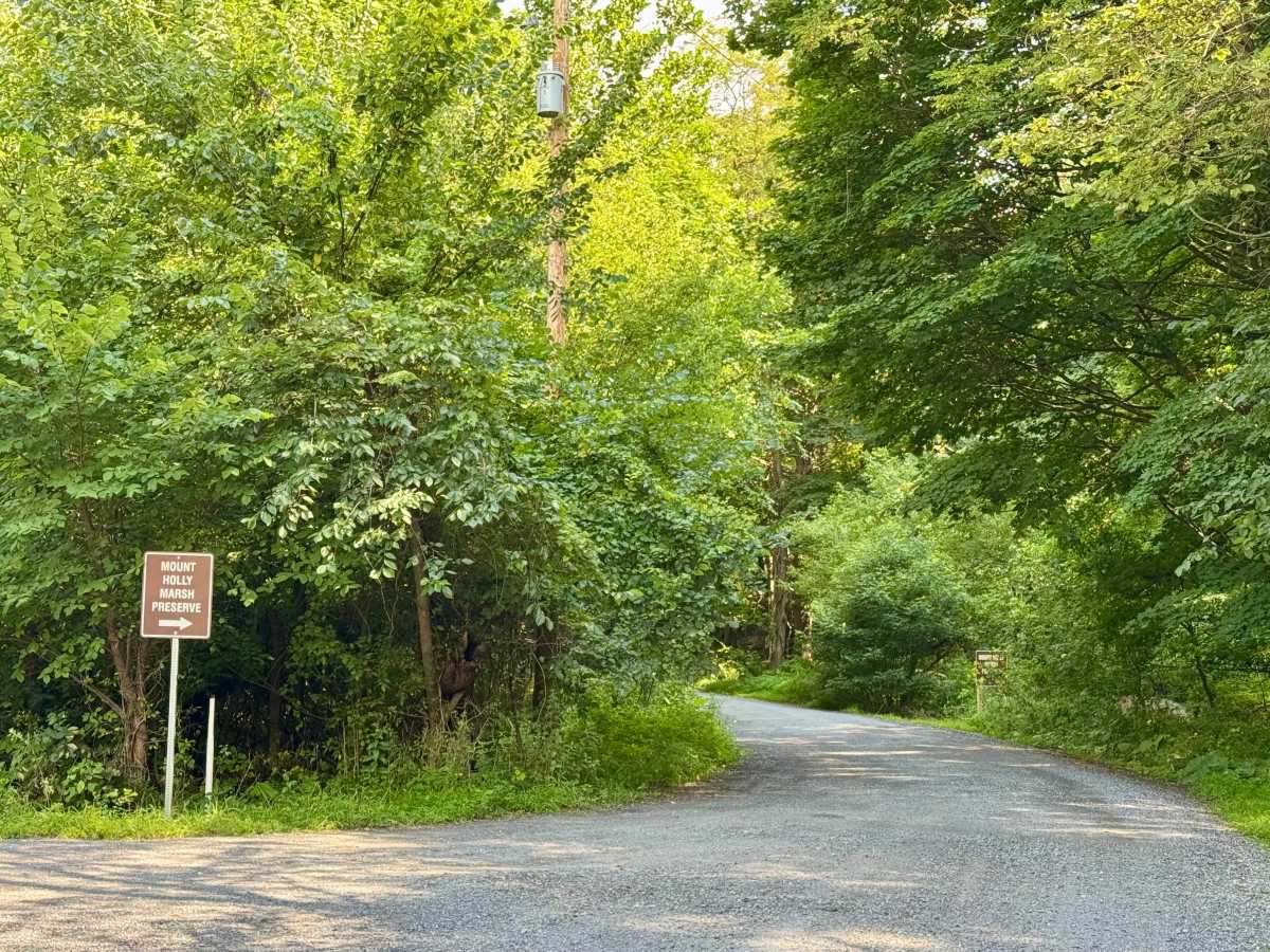 Ridge Road (North) photo 5