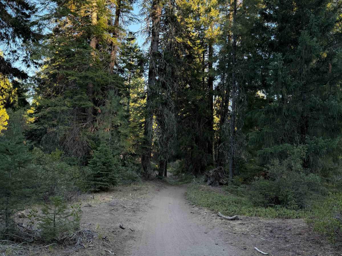 Learners Loop photo 6