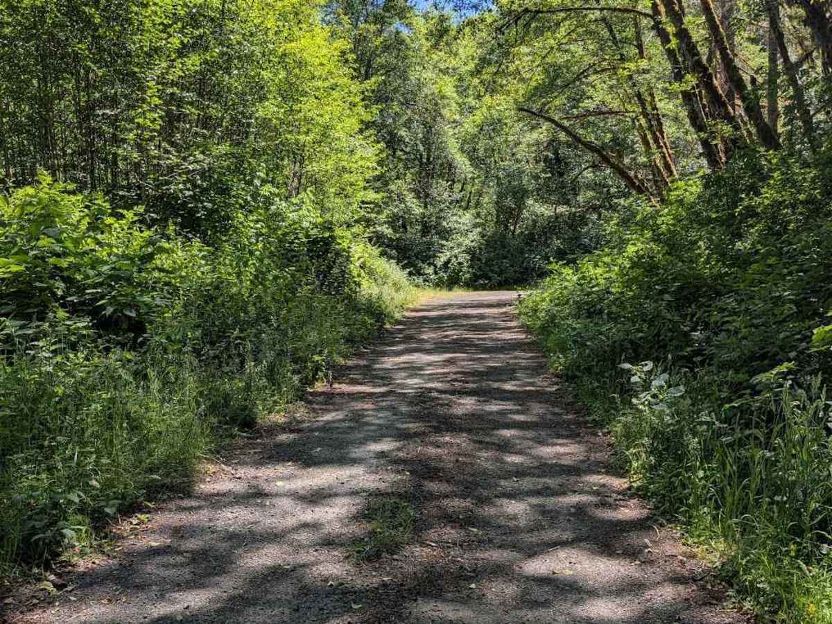 FS 5304 trail photo