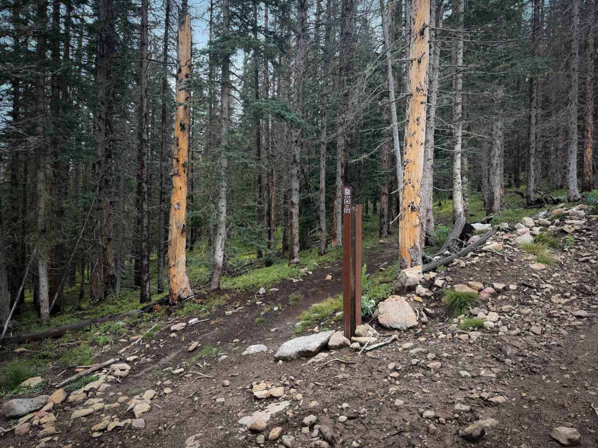 Trail 22A  photo 5