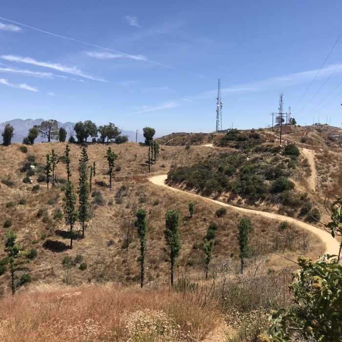 Near Verdugo Motorway