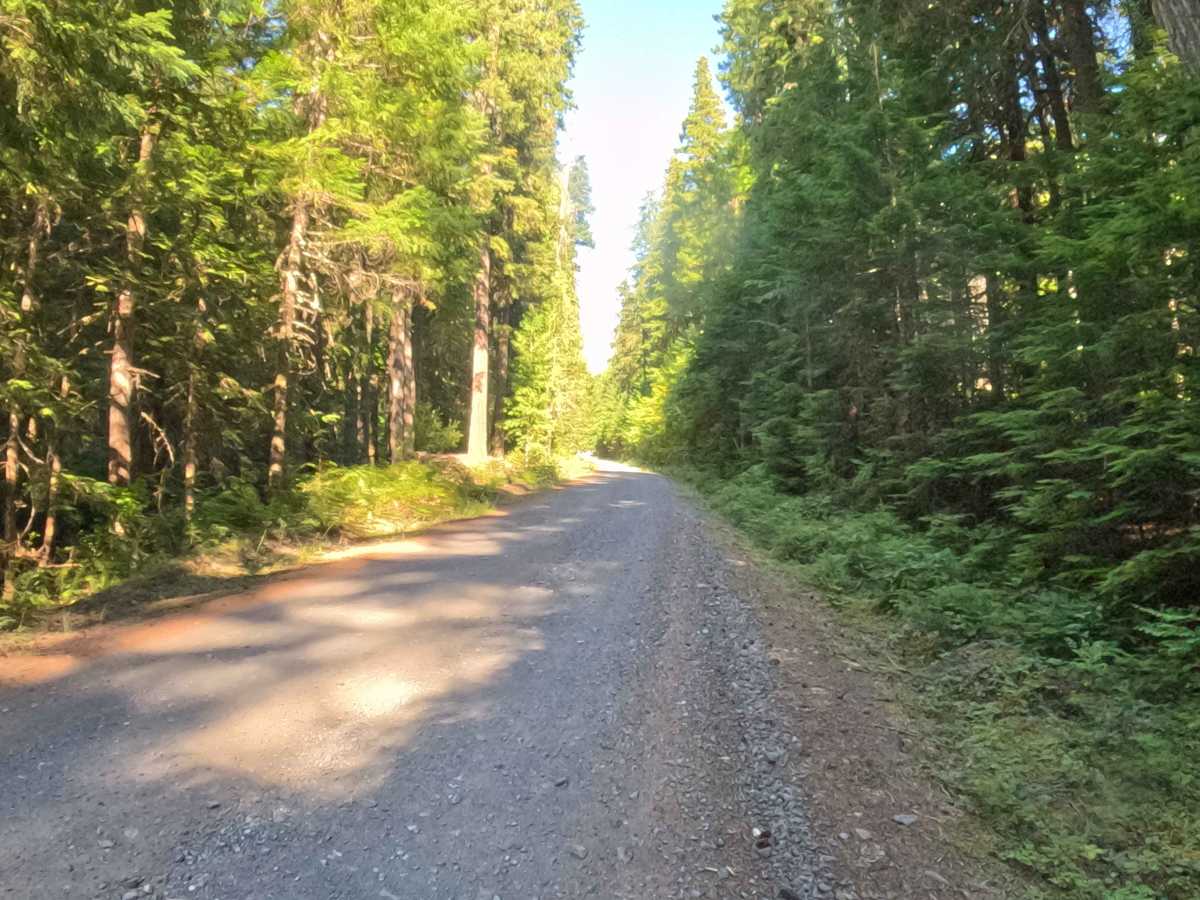 Pamelia Creek - FS 2246000  photo 6