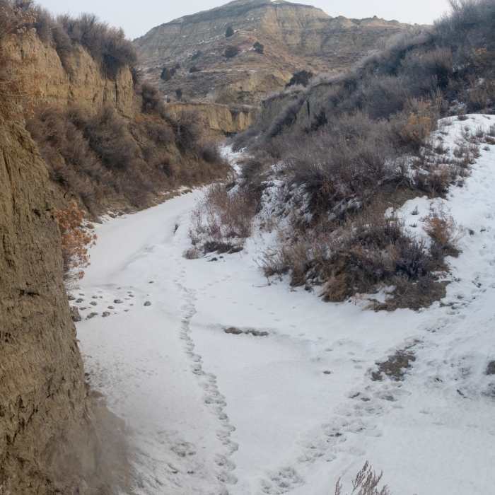 Near Bennett-Cottonwood Loop via Maah Daah Hey Trail