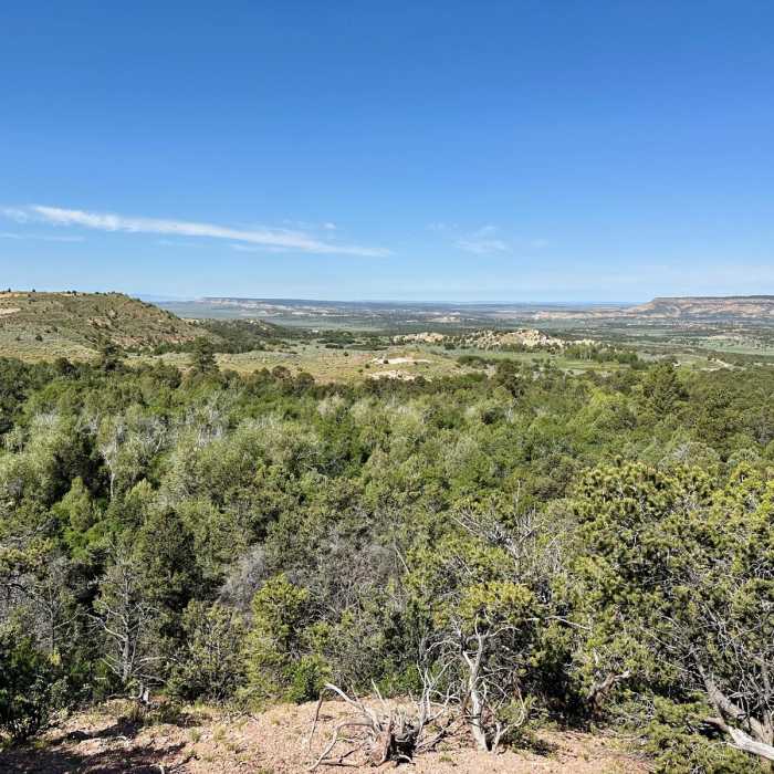 Near Continental Divide Trail: New Mexico Section 25
