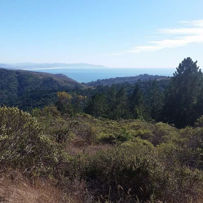 Near Dias Ridge Trail