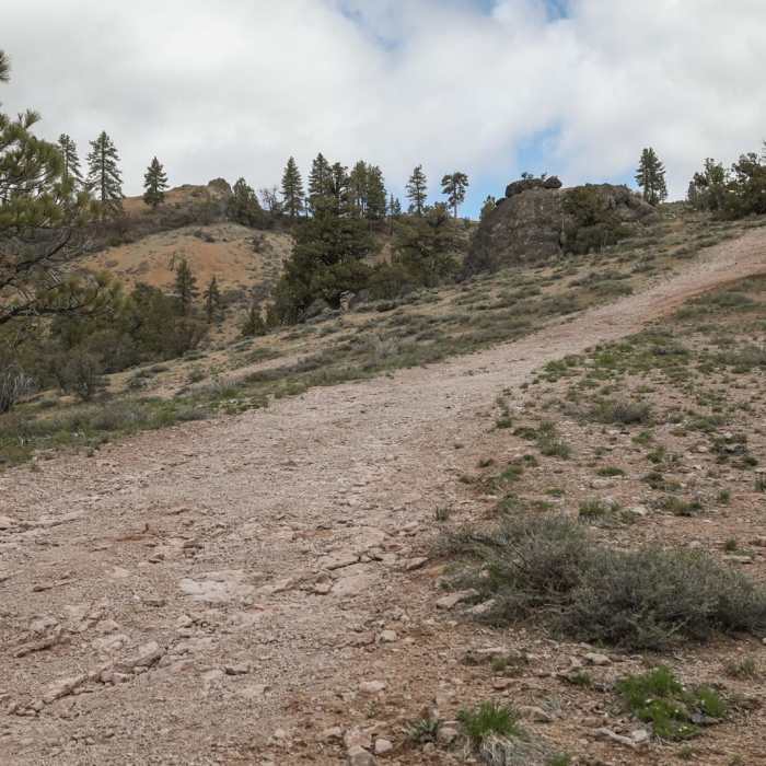 Near Portola "P" Hike