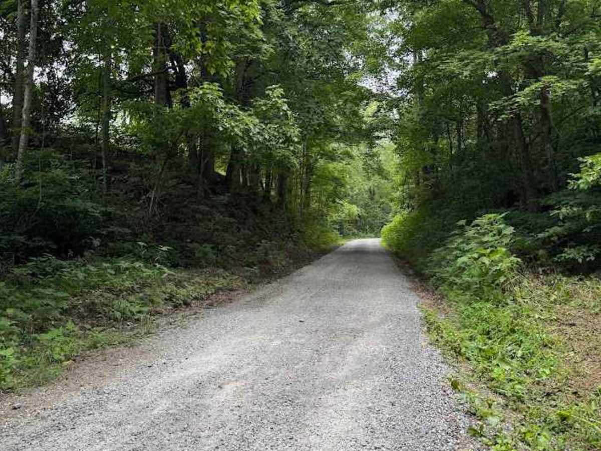 Goff Mountain Road photo 3