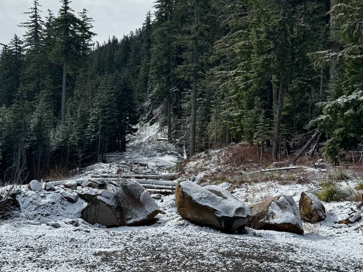 Dead Point - FS 2820 photo 3