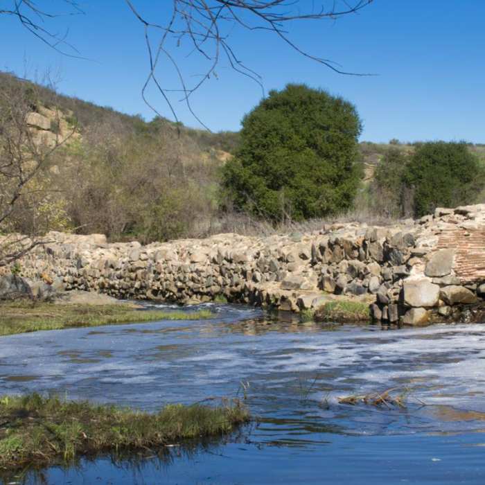 Near Oak Canyon + Grasslands Crossing Loop, Mission Trails Regional Park
