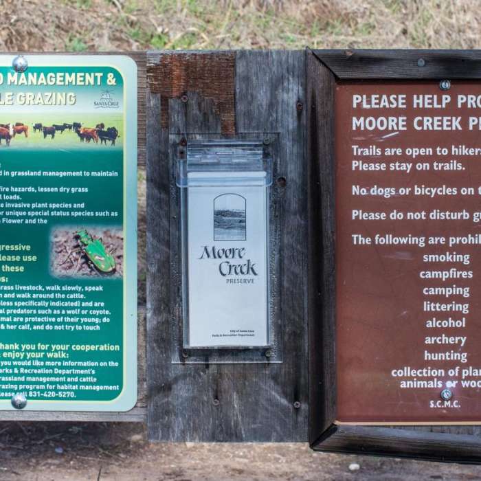 Near Moore Creek Preserve Hiking Trails