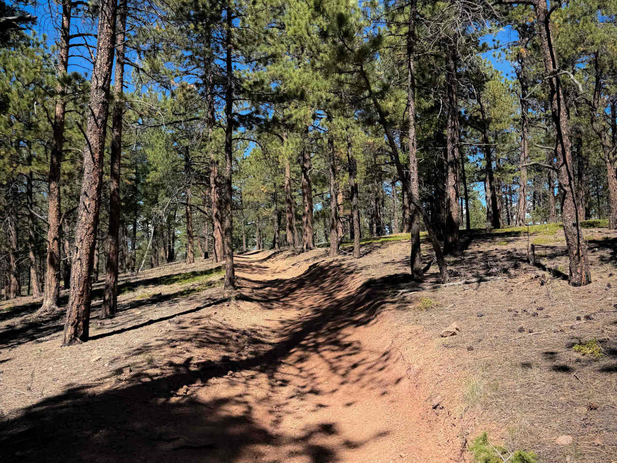 Wildhorn Spur 717E  photo 3