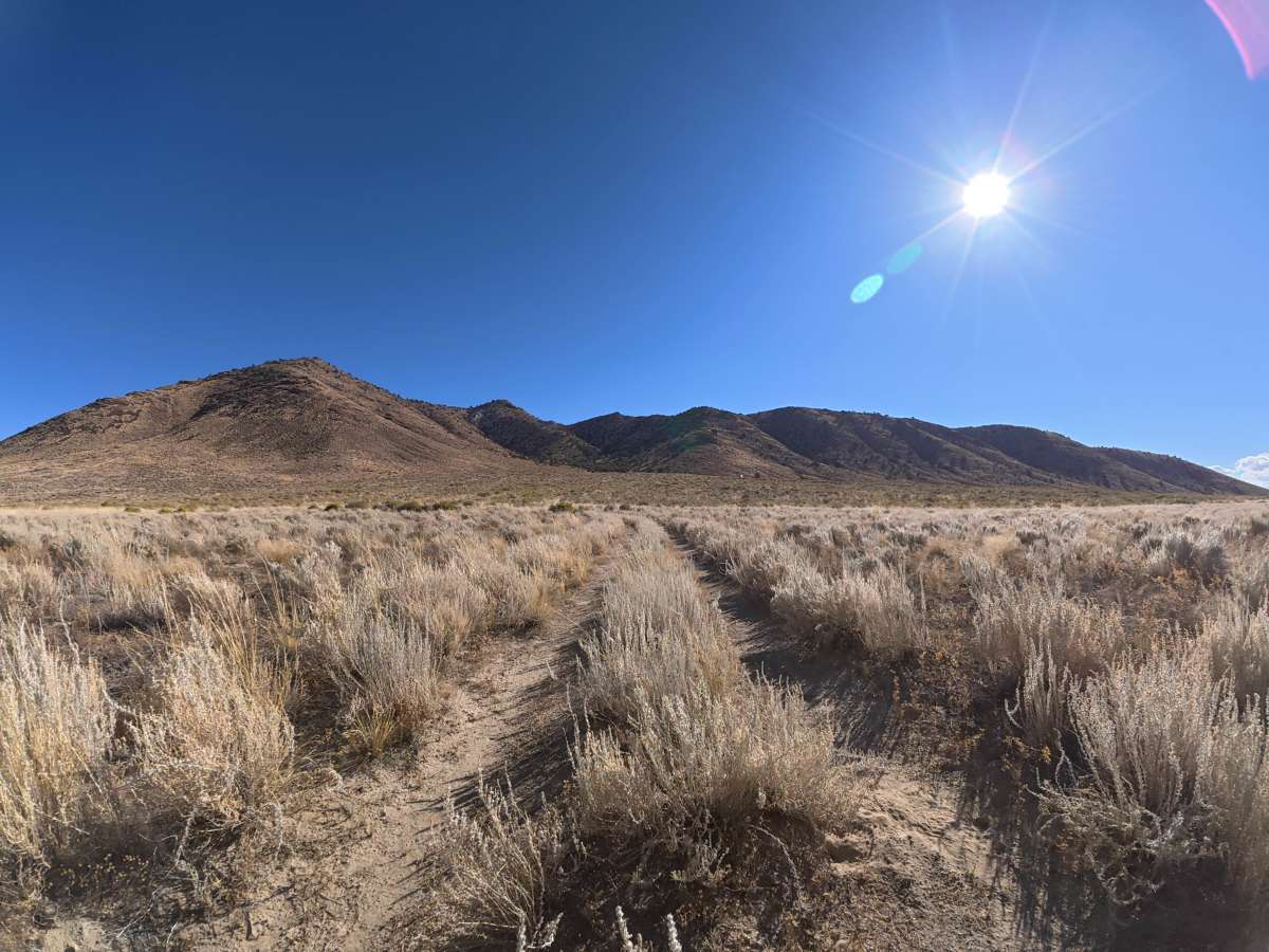 Cowhorn Hill trail photo