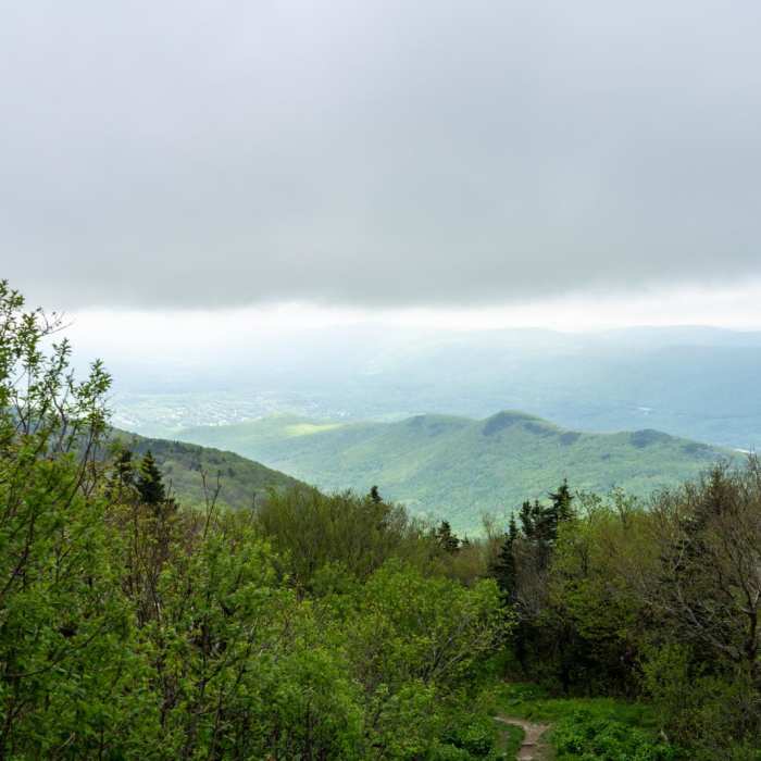 Near Mount Greylock Summit Loop