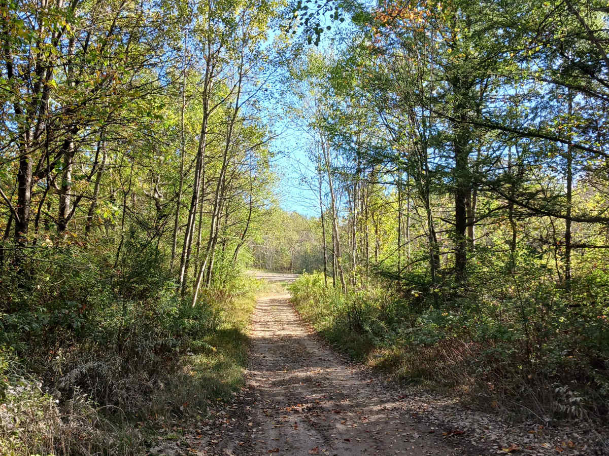 Trail 10 - Rock Run Recreation Area photo 3