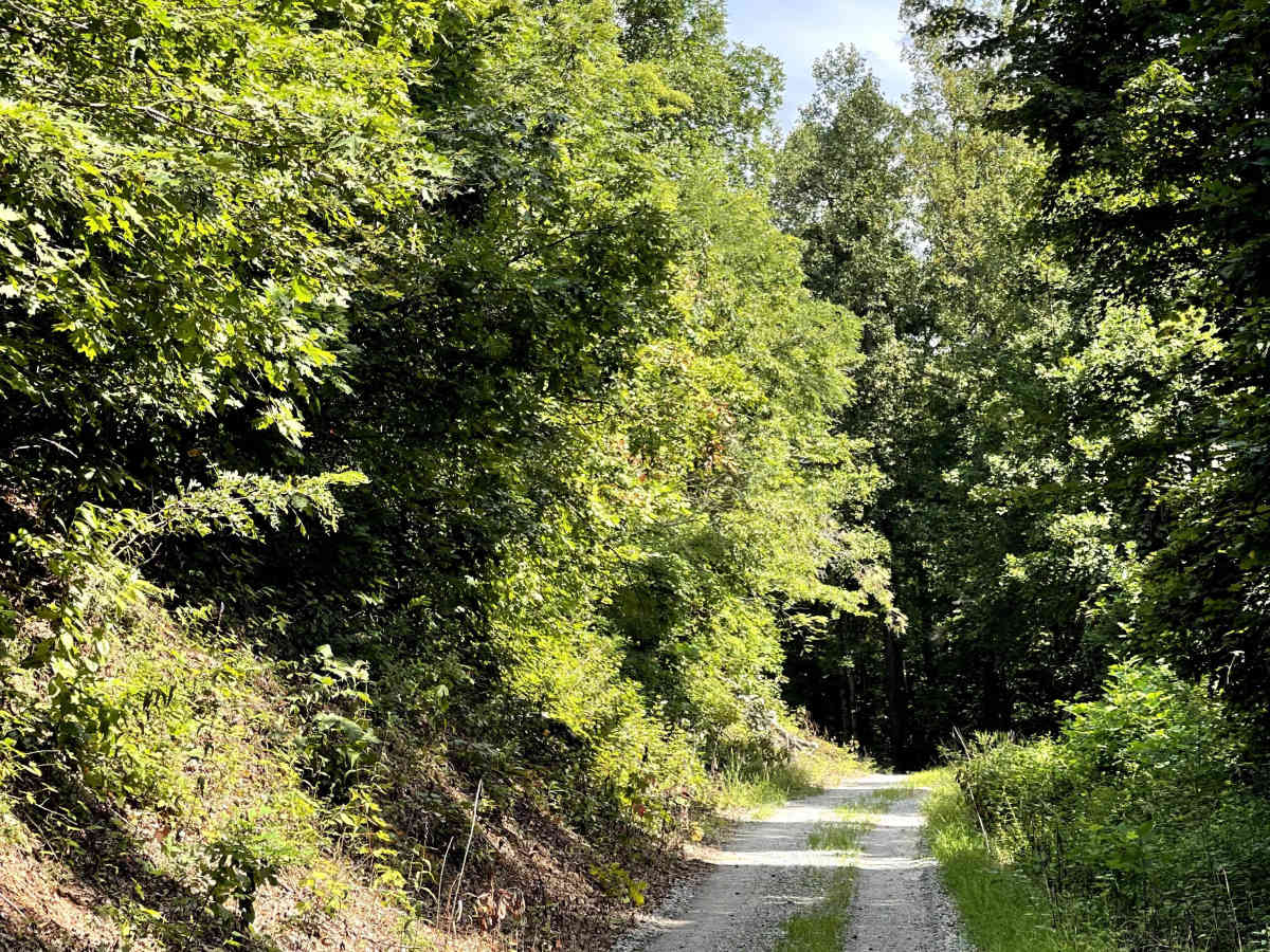 Cotrel Knob Trail photo 3