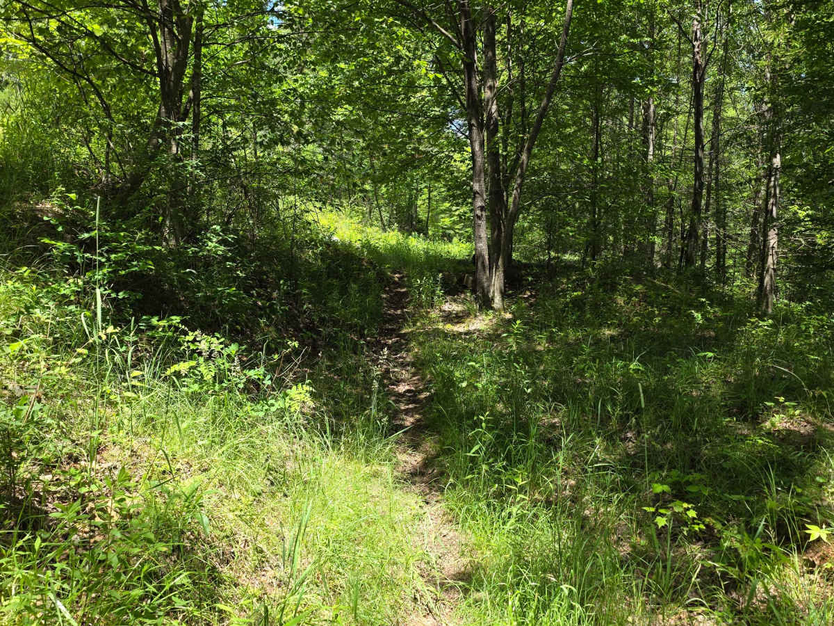 Single Track AC photo 2