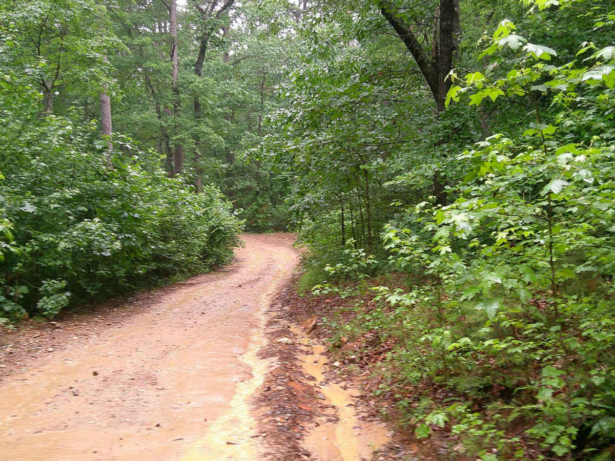Big Fork Athens Road photo 4