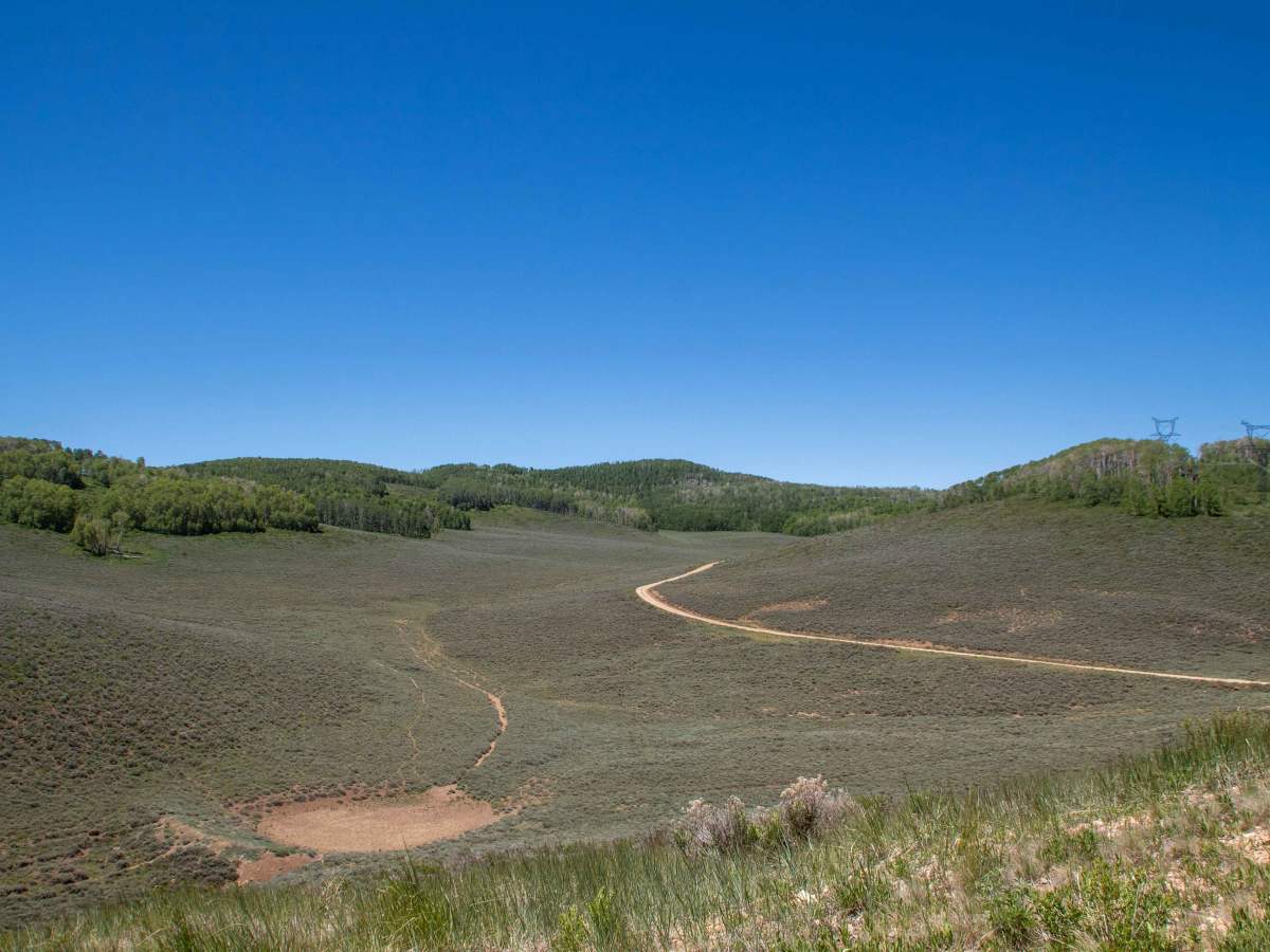 Buffalo Canyon - FS 70335 photo 4