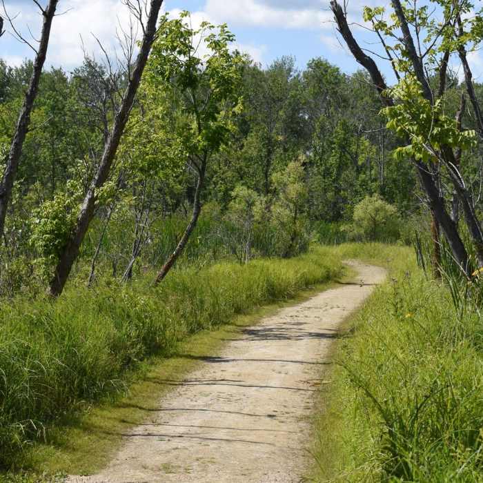 Near Hiking Club Route Near Hiking Club Route