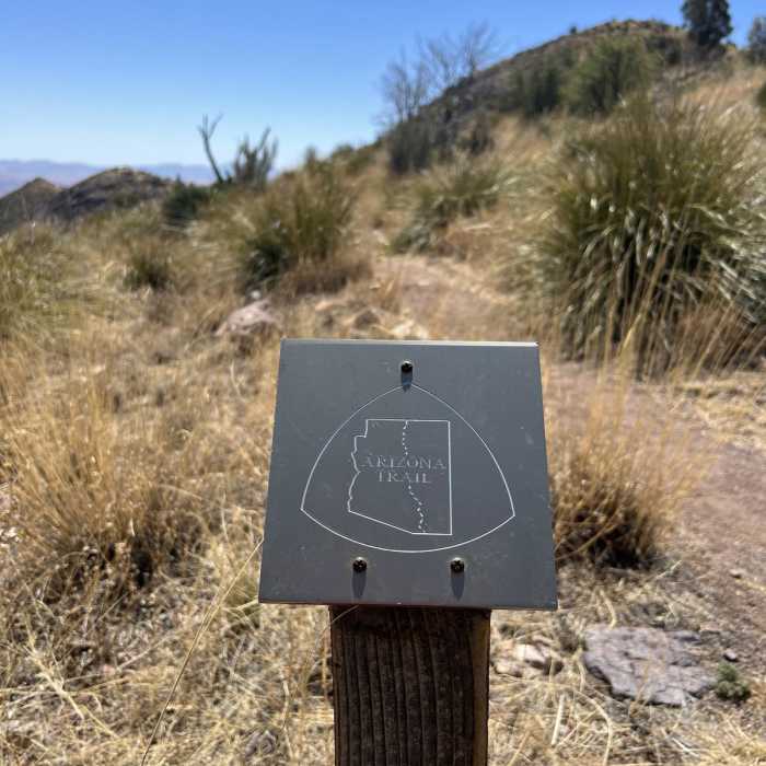 Near Arizona Trail Passage 1: Huachuca Mountains