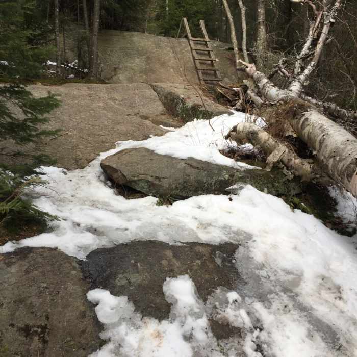 Near Crane Mountain Path