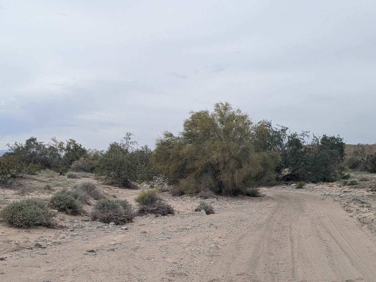 EC1235 photo 2