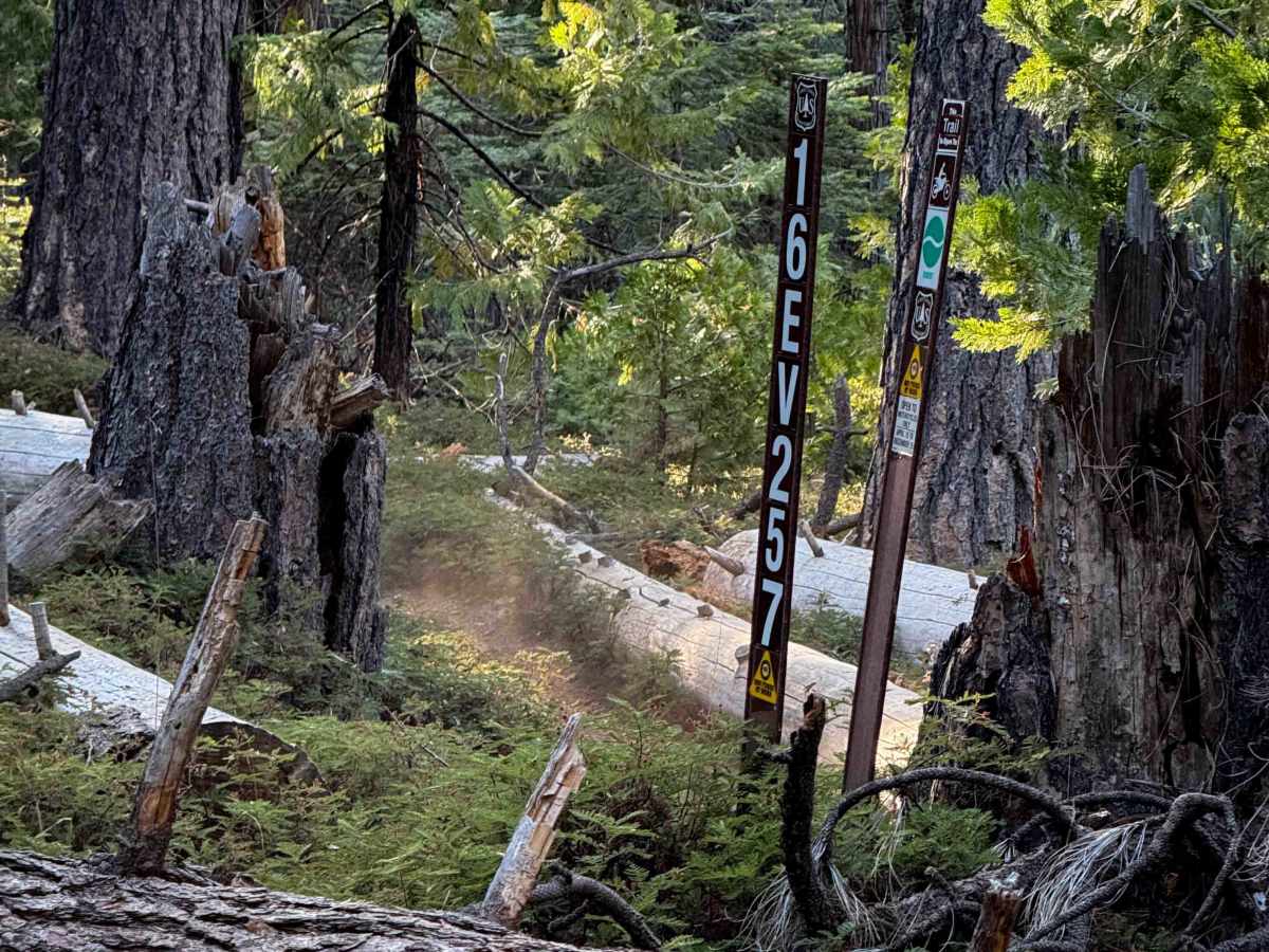 16EV257 trail photo