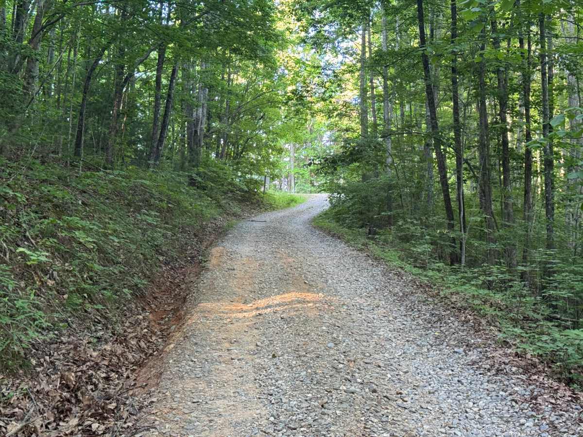 Beasley Knob North Entrance  - FS 93 trail photo