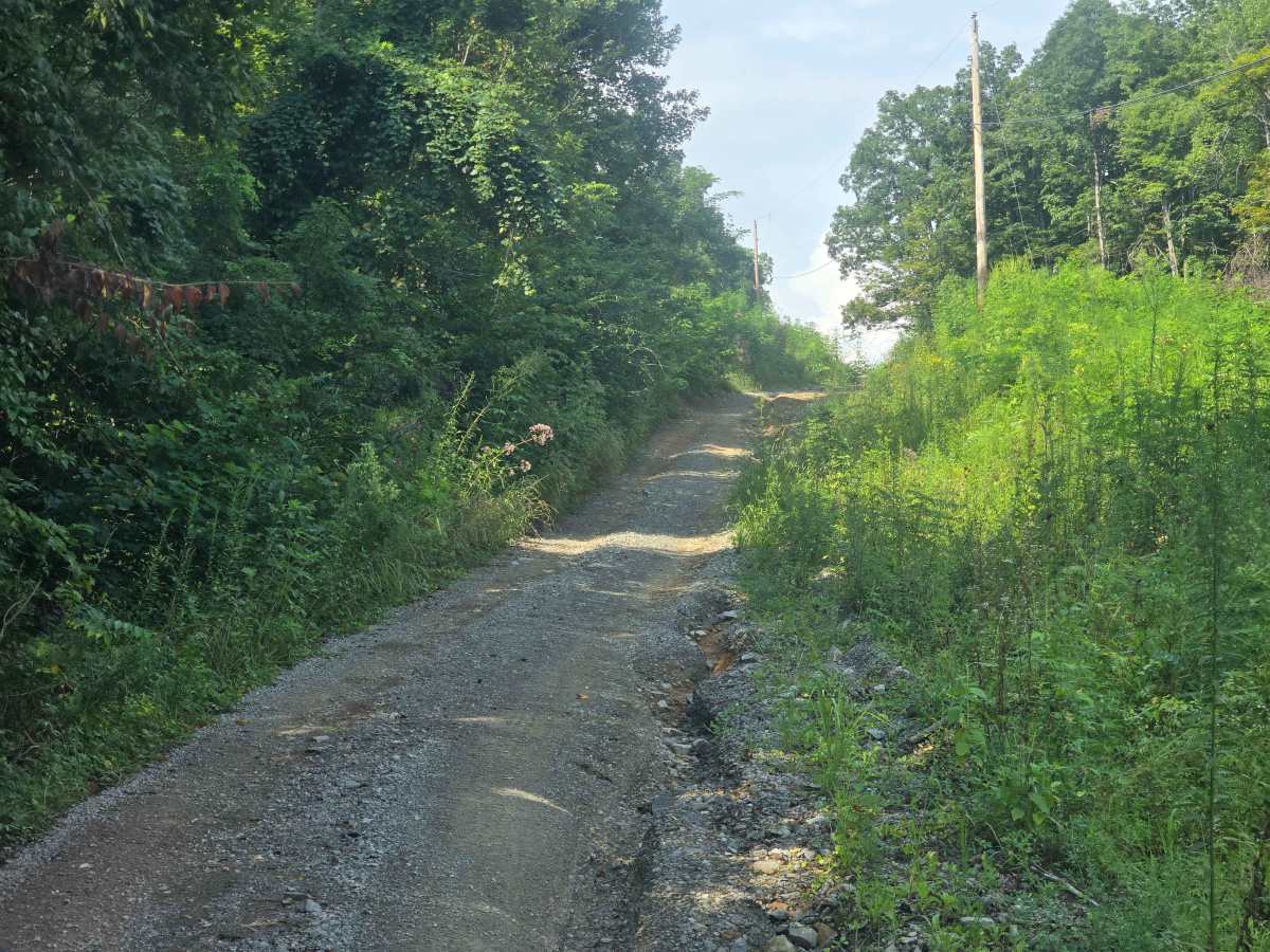 Pine Mountain Road photo 6