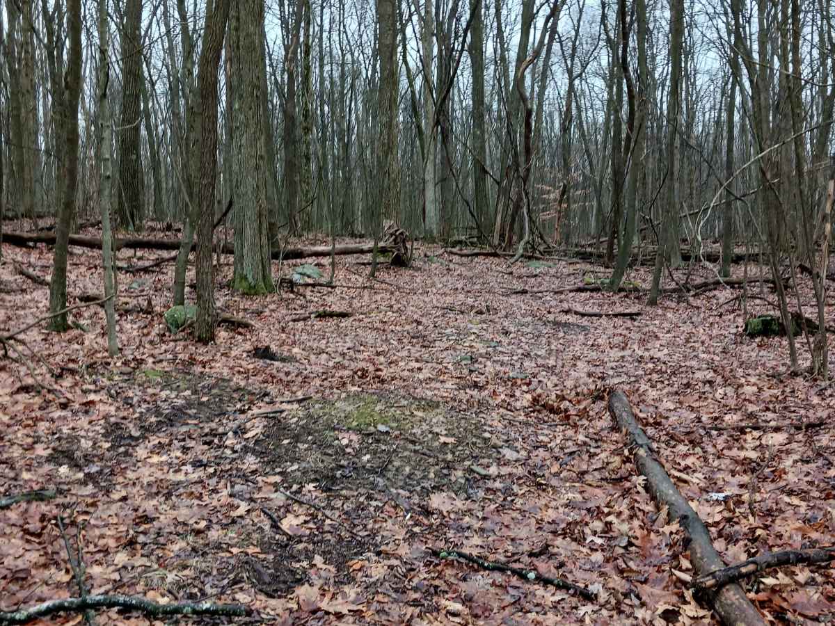 OHV 46 - Rock Run Recreation Area photo 6