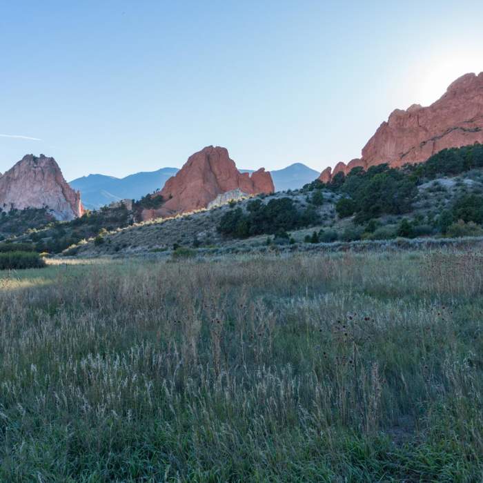 Near Bretag Trail and Upper Central Garden Loop