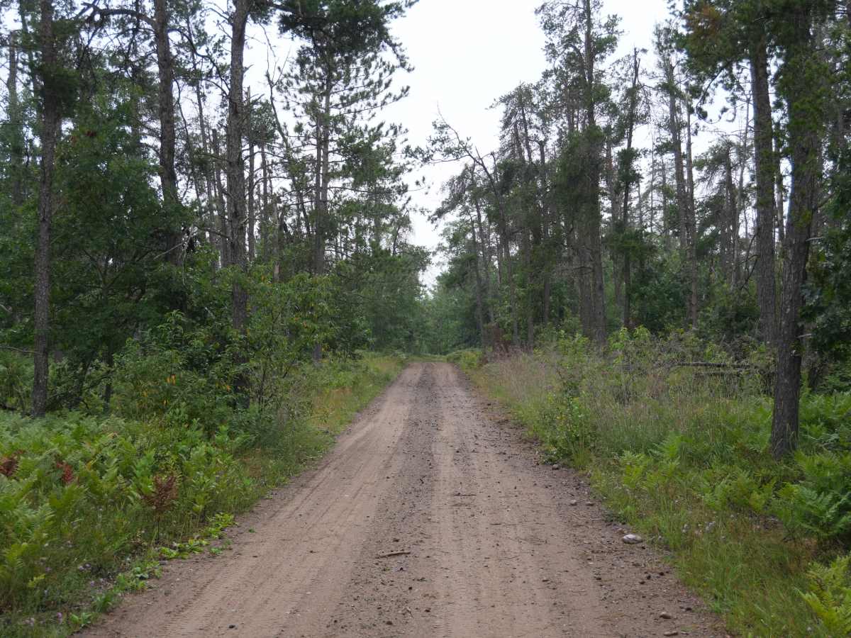 Deer Road trail photo