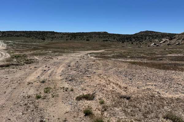 Yellow Jacket Canyon