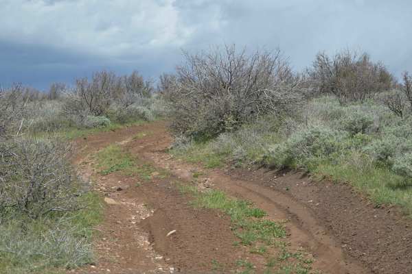 Little Brush Creek - FS 10052