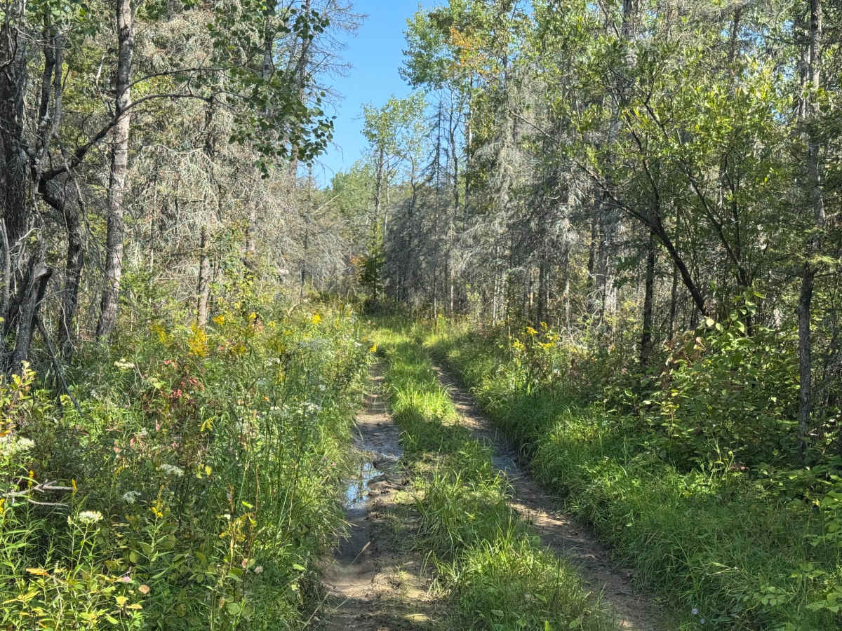 Rimrock Camp Road photo 4