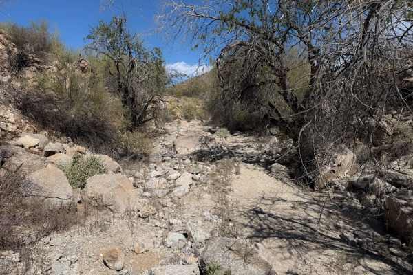 Hidden Valley Wash 