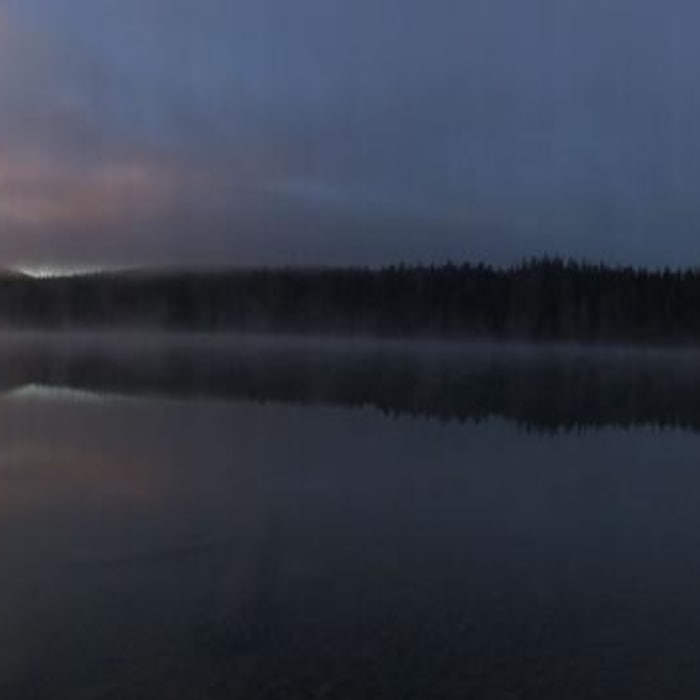 Near Pacific Crest Trail: Oregon Section E - Highway 58 to Highway 242