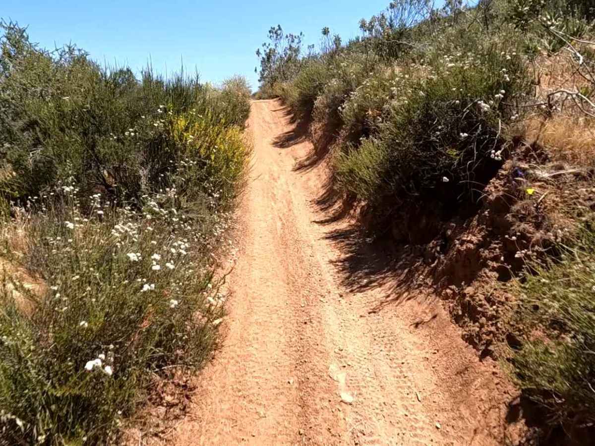 TK OHV Trail photo 3