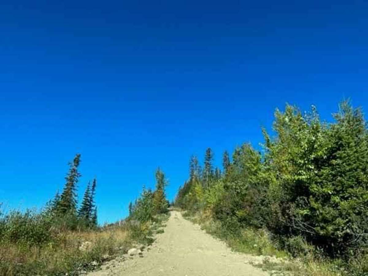 South Camp Road photo 4