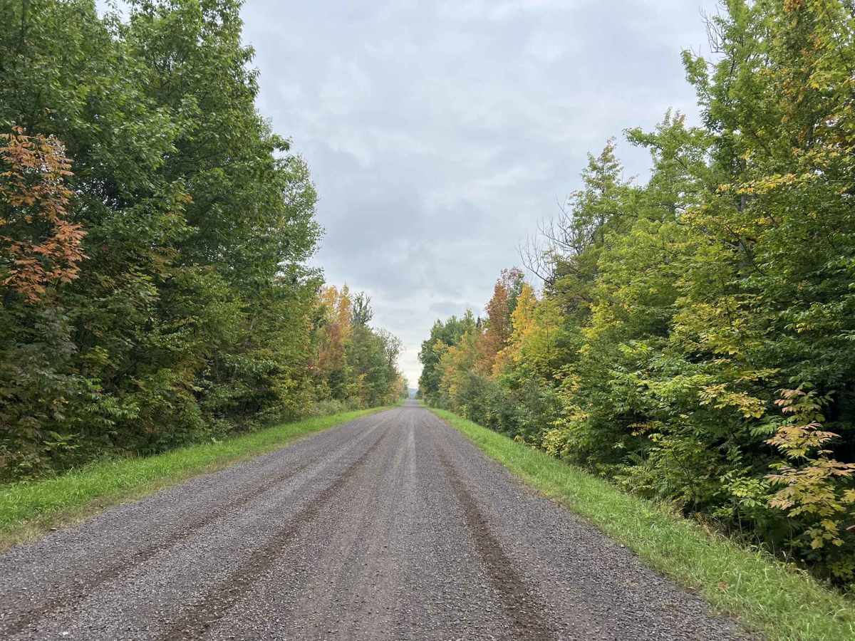 FR 1100, Trail OC photo 2
