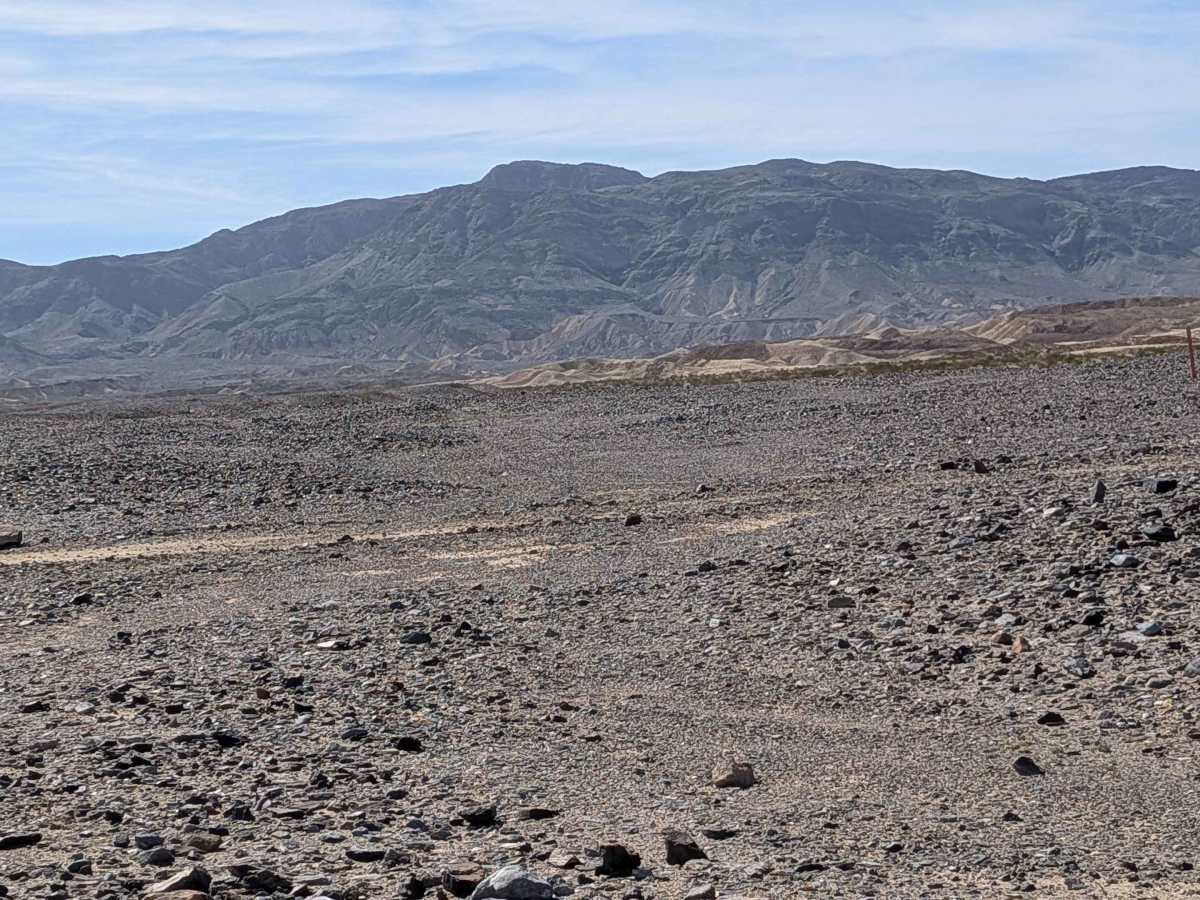 BLM 079 photo 6