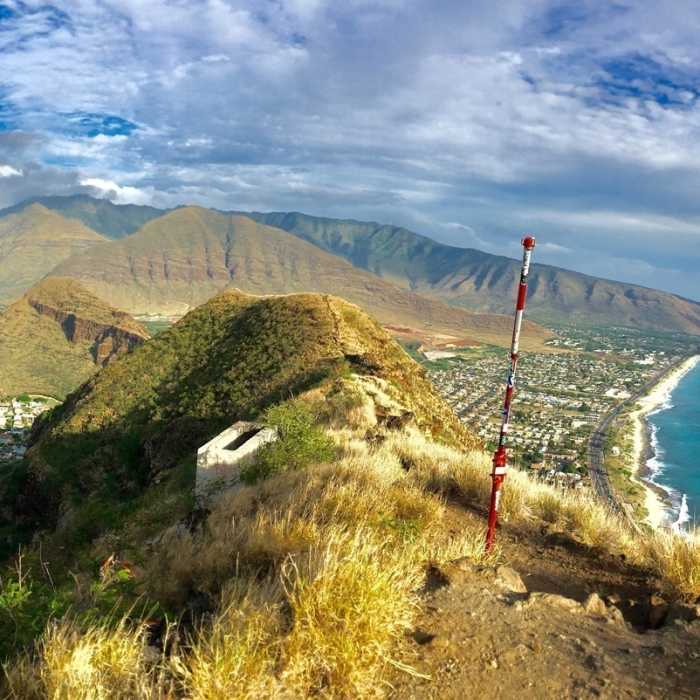 Near Pink Pillbox Trail (AKA Pu'u O Hulu Trail)