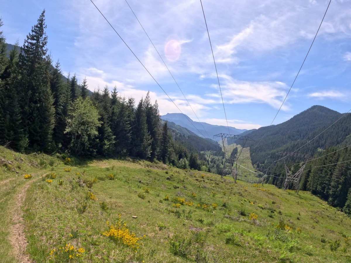 Booger's loop trail photo